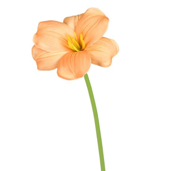 Simulated Tulips Bouquet Realistic Touch PU Petals Fading Vitality Bendable Stems Maintenance-Free Fake Tulips Home Decor