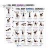 Professional Weight Training Chart 2 Pcs Dumbbell Workout Poster, Full Body Exercise Lifting Instruction Poster Wall Art, Strength Fitness Guide