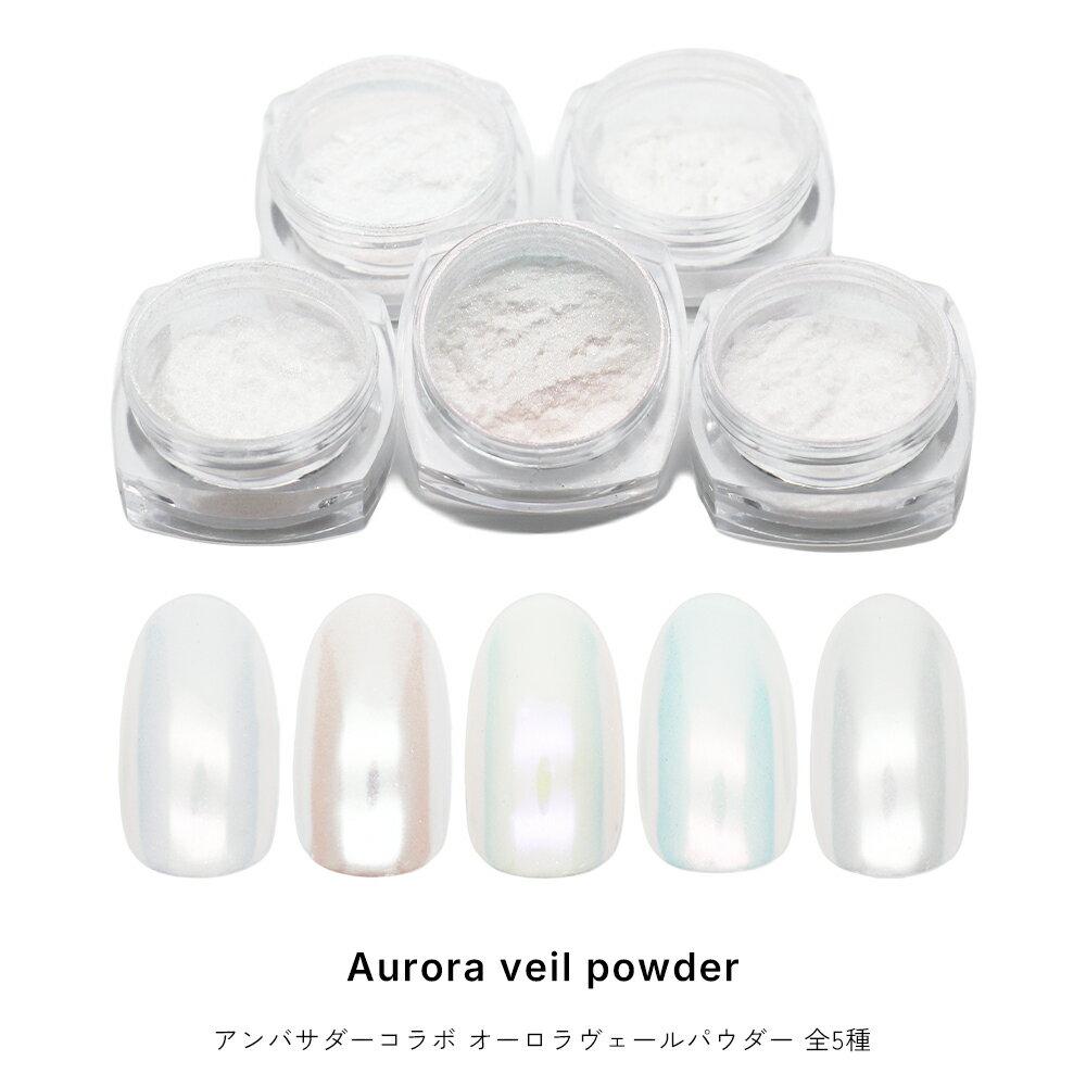 Nail Art Ambassador Collaboration Product Aurora Veil Powder All 5 Types Gel Nail.