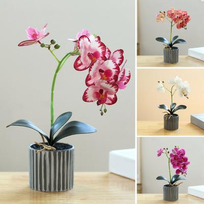 Künstliche Topfpflanze, künstliche Mottenorchidee, Bonsai, für den Schreibtisch, künstliche Phalaenopsis-Blumen im Topf für den Esstisch zu Hause, Büro, Schreibtischdekoration