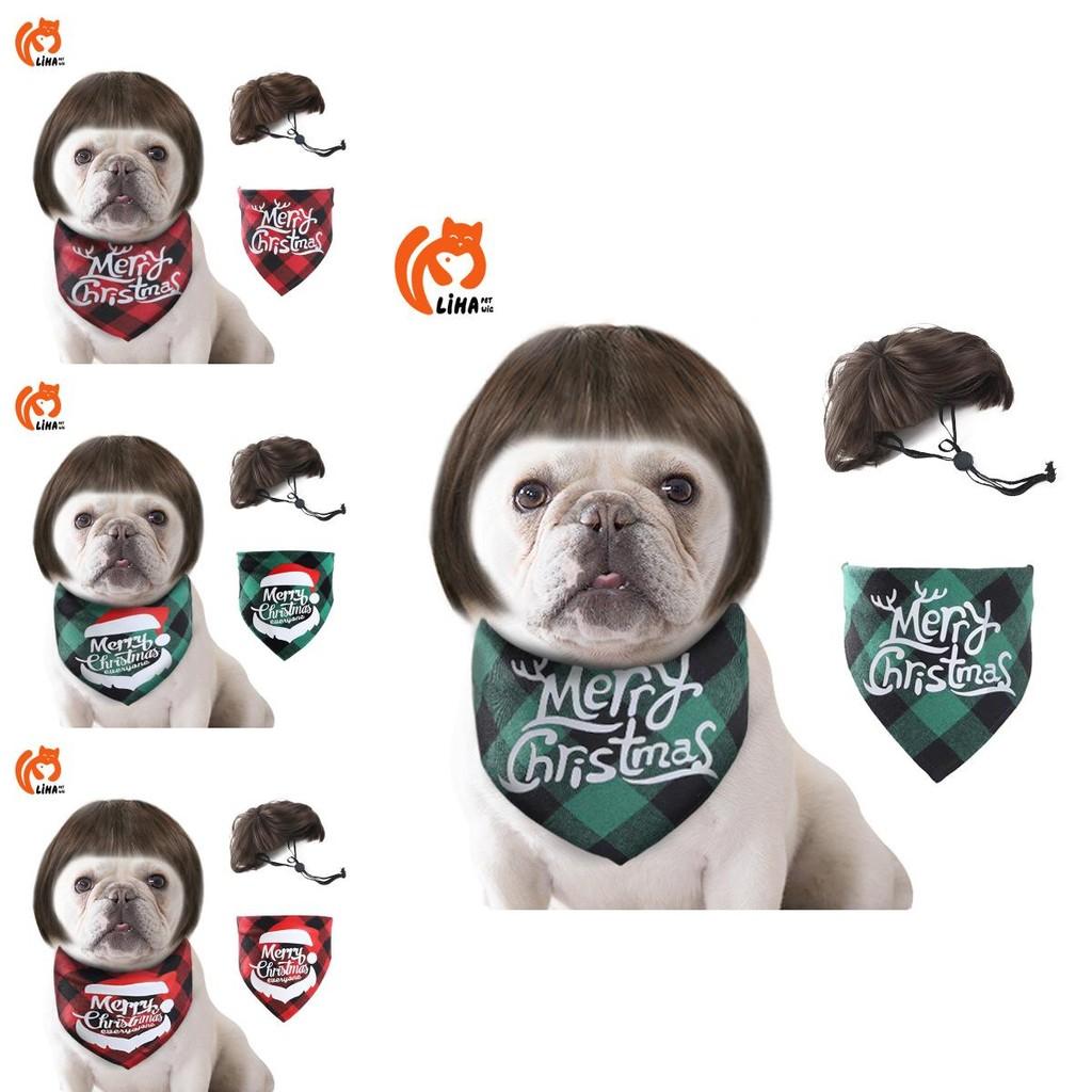 Adorable Pet Wig With Bangs For Dogs And Cats In Vibrant Colorful Options For Parties