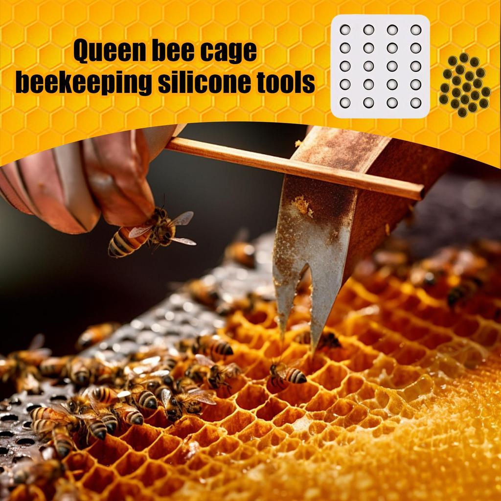 1 Stück Wachskönigin Pfropfbecher Silikonform 20 Löcher Manuelle Imkerei Bienenwachs Königinnenzellenbecher Herstellungsform Imkereiwerkzeug