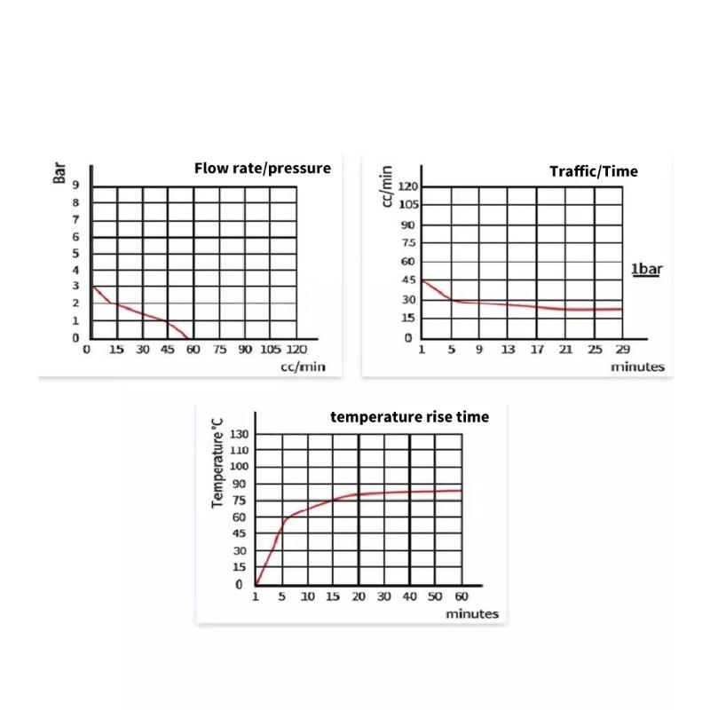 15W Plunger Solenoid Pump Electromagnetic Pump Solenoid Valves Suitable for High Temperature Steam Ironing Machines