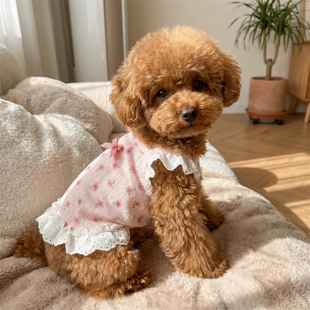 Lace Trimmed Pet Camisole Vest Flower Pattern Puppy Clothes Sweet Cat Lace Camisole  Summer Wear