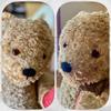 [USED] Vintage Teddy Bear, Antique, 50cm, Unmarked