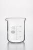 Hario Shibata Scientific Beaker with Indicator Graduations, 300mL, 010020-30051A