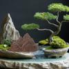 Landscape Rockery Simulated Mountain Ornament Zen Garden Accessories DIY Terrarium Plant Pot Bonsai Decor Fairy