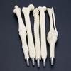 Creative Ball Point Pen Bone Shape Nurse Doctor Student Teacher Stationery Gift