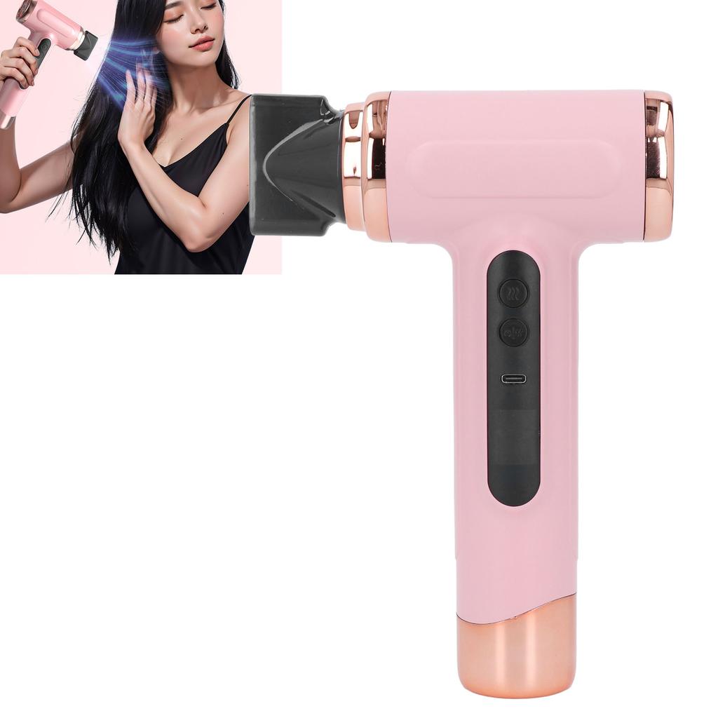 Hair Blow Dryer Wet and Dry Use 200W Powerful Hair Dryer Portable Multifunctional Pet Blow Dryer for Travel