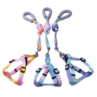Gradual Colorful Dog Harness With Leash and Dog Leash Set Nylon Adjustable Dog Harness Walking Leash Strap Small Medium Large Do