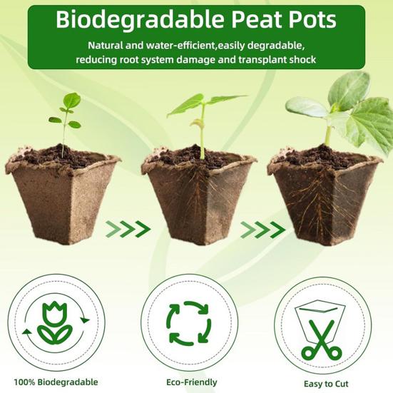 12-Cell Seedlings Tray Biodegradable Plant Pots Breathable Seeds Starter Tray with Tags And Tools for Flowers