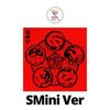 SMini Ver SMART ALBUM 8th Mini Album Vision Wings