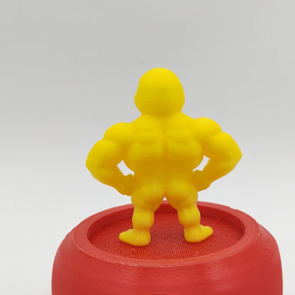 Eco-friendly 3D Printed Parody Muscle Duck Ornament