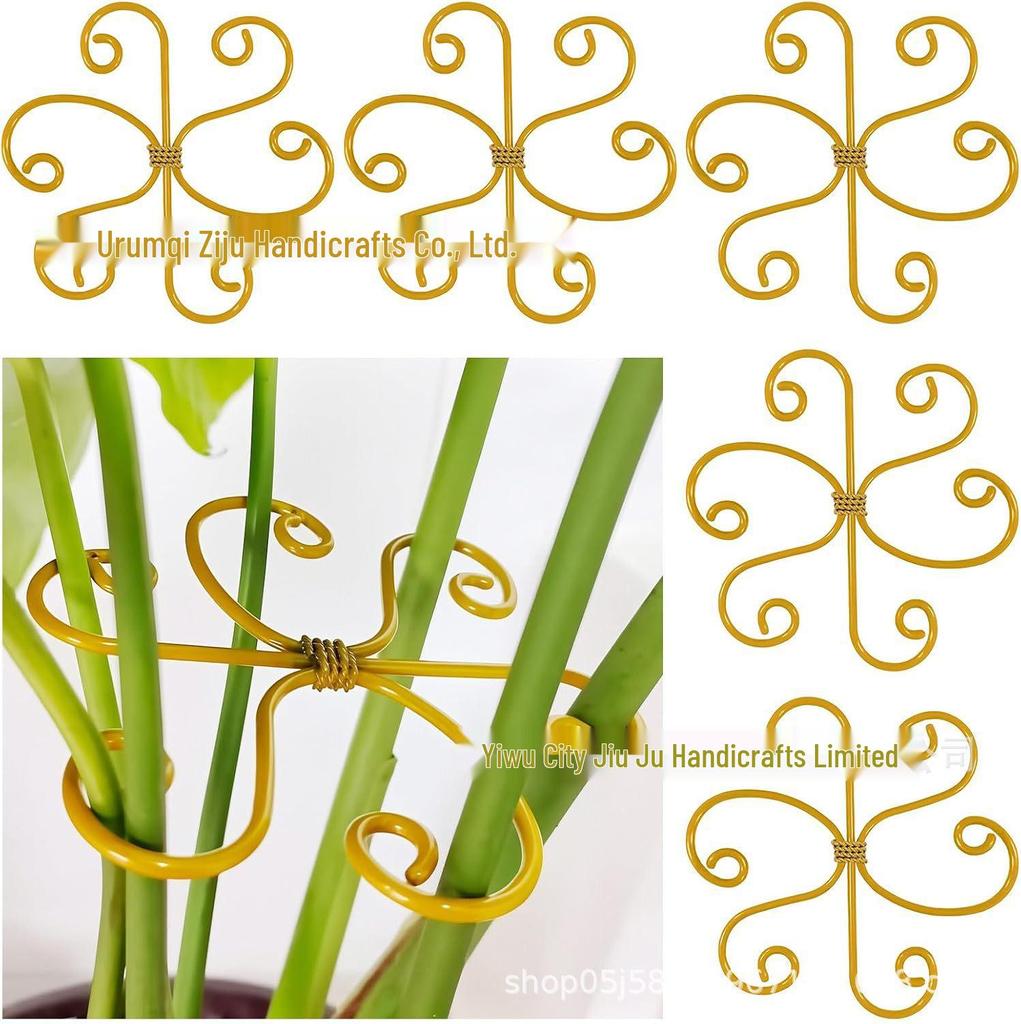 Universal Iron Plant Support Frame for Vines and Flower Arrangements