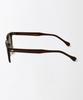 OUTSTANDING Exp-50S Wellington Sunglasses_Beer