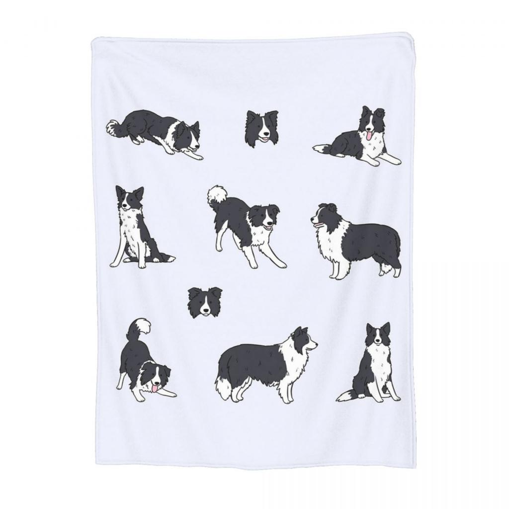 Border Collie Dog Cute Pattern Blanket Soft Warm Flannel Throw Blanket Cover for Bed Living Room Picnic Travel Home Couch