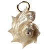 Handcrafted Spiny Shell Earrings Lightweight Pair Unique Patterns Versatile Styling Gift Shell Studs Earrings