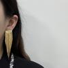 High-End Atmospheric Metal Long Fringed Earrings For Women, Light Luxury Design, Simple Temperament, Versatile Earrings For Women
