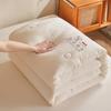 Class A Soybean Fiber Quilt: Thick Warm Winter and Thin Air Conditioning Options for B&B or Dorm Use