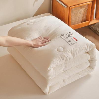 Class A Soybean Fiber Quilt: Thick Warm Winter and Thin Air Conditioning Options for B&B or Dorm Use
