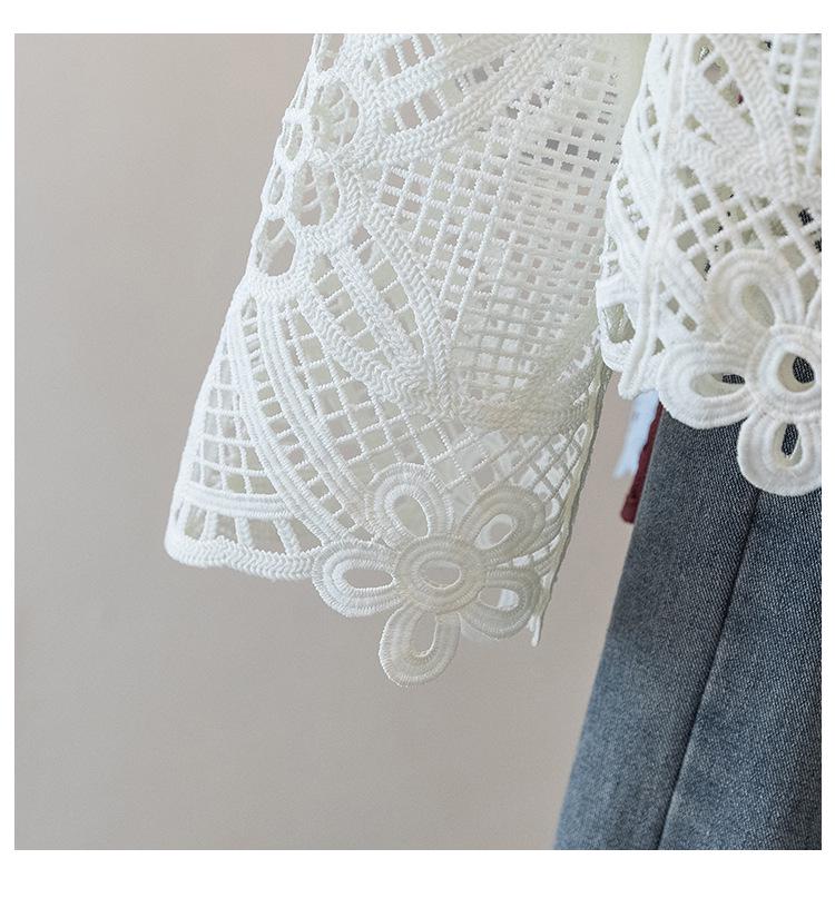 Korean Style Plus Size Embroidered V-Neck Lace Top - Autumn Women's Loose Long-Sleeve