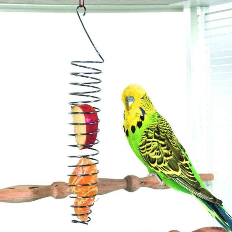 Bird Foraging Toy Feeder Parrot Treat Fruit Vegetable Seed Holder Feeder Food Basket Tool Stainless Steel Cage Accessories for Parakeet Cockatiel