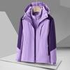 Jacket Lining Fleece Men's and Women's Three-in-one Mountaineering Jacket Removable Windproof and Waterproof Jacket
