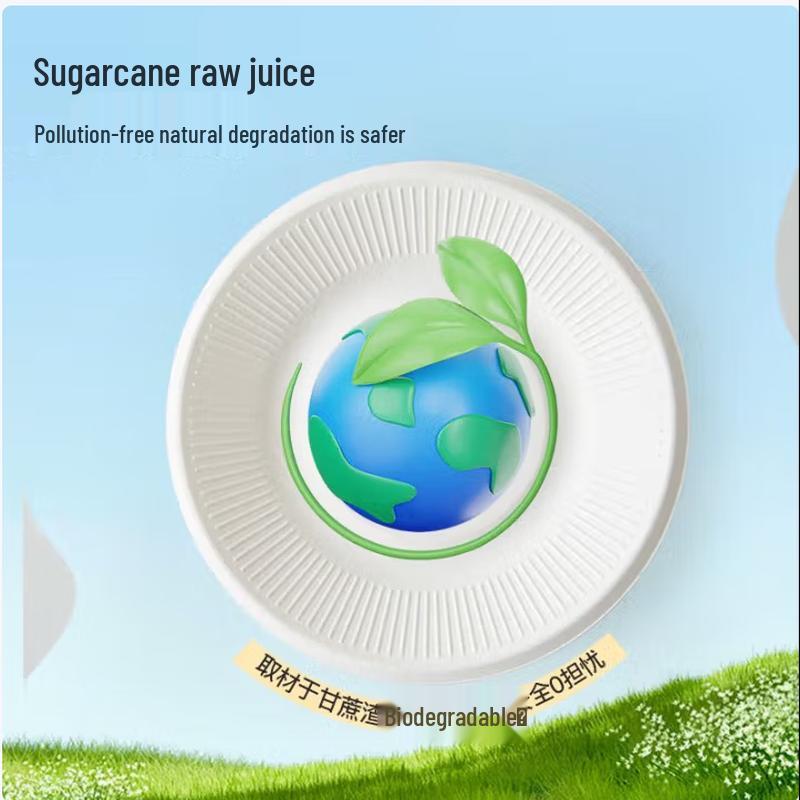 Temajia Sugarcane Pulp Round Disposable Plates
