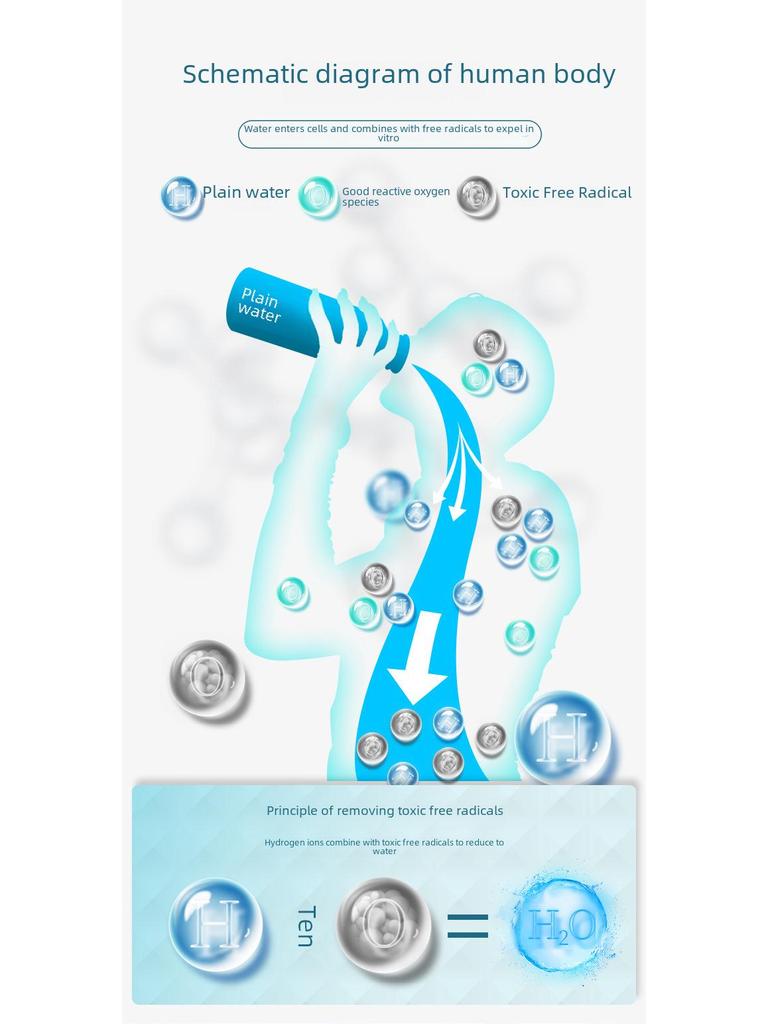 Intelligent Electrolysis Hydrogen-Rich Water Cup with High Concentration Hydrogen and Negative Ions