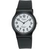 Citizen Q&Q Analog Watch Waterproof 10 ATM Lightweight Easy-to-Read Dial for Men and Women