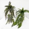 Tropical Plants Artificial Persian Leaf Artificial Boston Fern Plants  Balcony Decoration