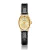 Elegant and Fashionable Ladies Watch Simple Smooth Dial Oval Case Ladies Quartz Watch