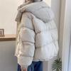 Women's Autumn Winter Thicken Warm Hooded Jacket Ladies Design Short Parkas