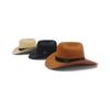 Pet Cowboy Costume Cosplay Cap Halloween Costumes for Dogs Cat Pet Party Decoration Mini Cowboy Hat
