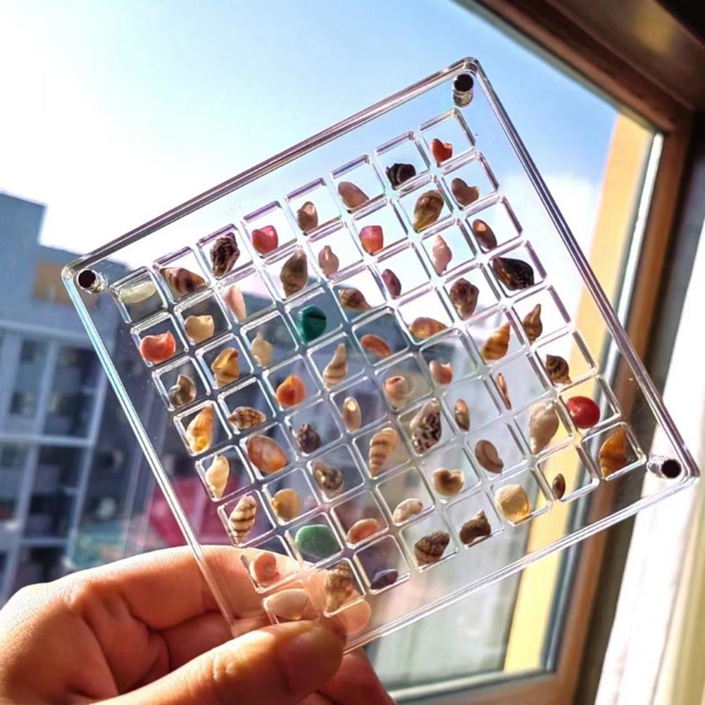Acrylic Magnetic Seashell Display Box Seashell Display Box Diamond Storage Box Transparent Shell Storage Box Jewelry Storage