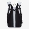 The North Face Standard Backpack Ice Gray Nm2dr05l