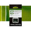 Daniel Smith Daniel Smith Watercolor Half Pan (Sap Green) 284650102