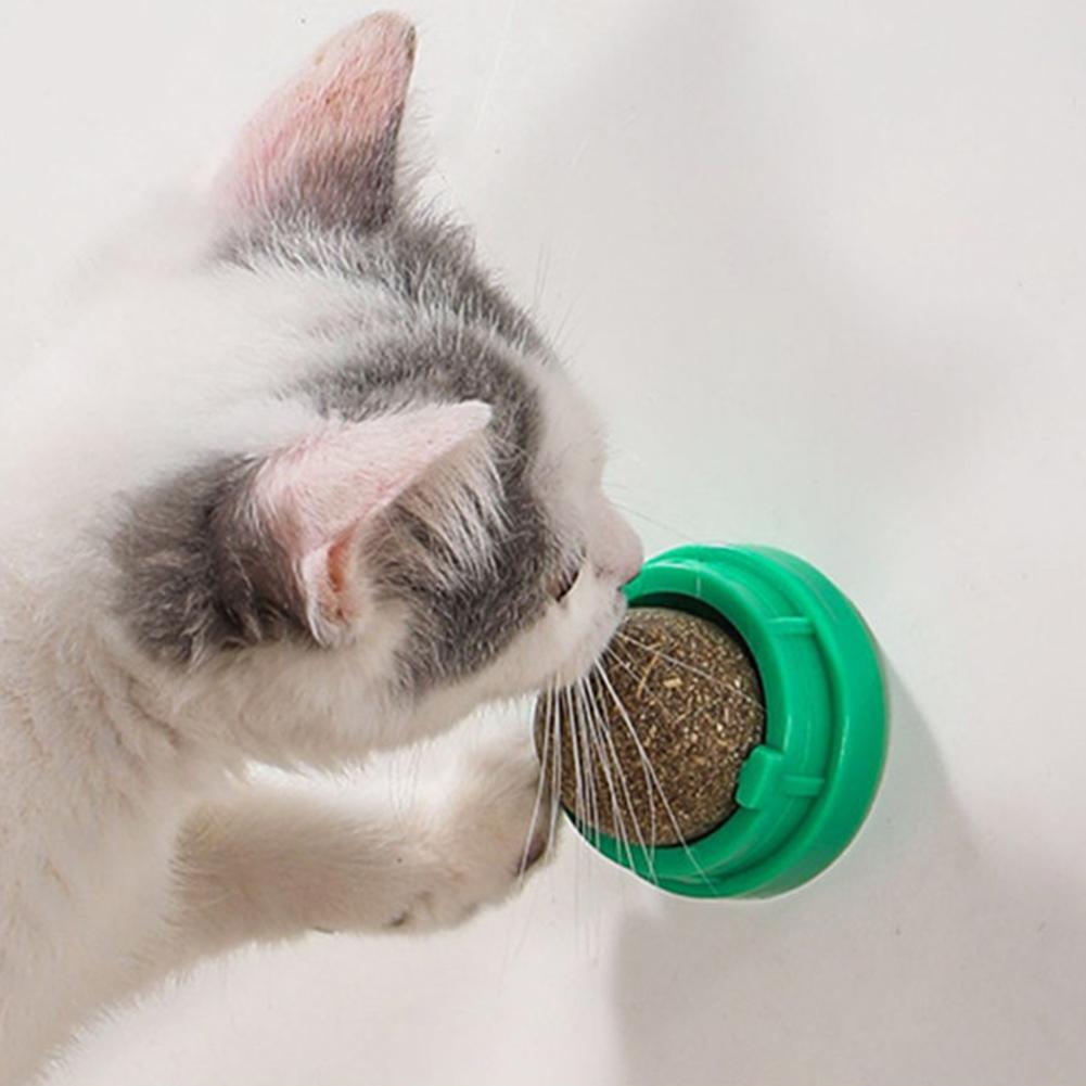 3Pcs Catnip Ball Rotatable Kitten Lickable Ball Self-Adhensive Teeth Cleaning Catmint Toy Healthy Cat Wall Snacks for Cat Kitten