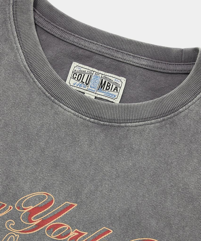 COLUMBIA UNIVERSITY Cu Campus Mineral Washed Women'S Spring/Summer T-Shirts Gray