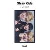 Stray Kids Ik ben GEEN Officiële Fotokaart