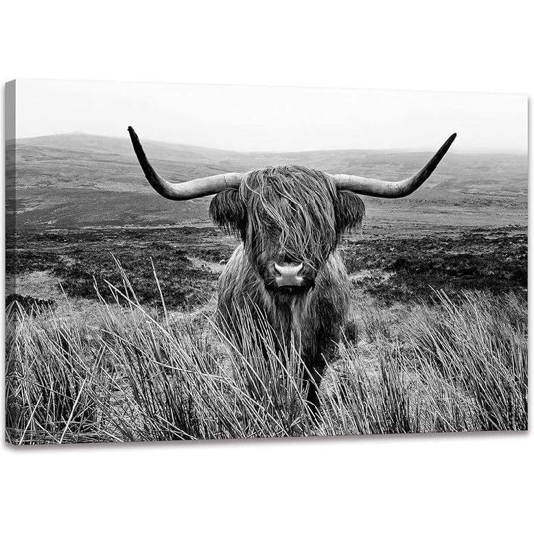 Highland Cow Wall Art Canvas Print Black and White Animal Canvas Picture Framed Art Wall Decor for Bedroom Bathroom (12x16 inch) 12 L x 16 W