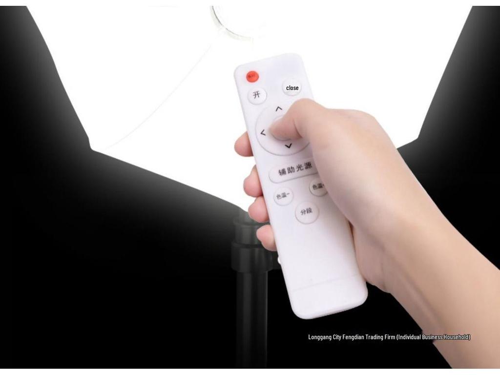 800W Ultra-Bright Spherical Fill Light for Professional Beauty Photography and Indoor Clothing Shoots