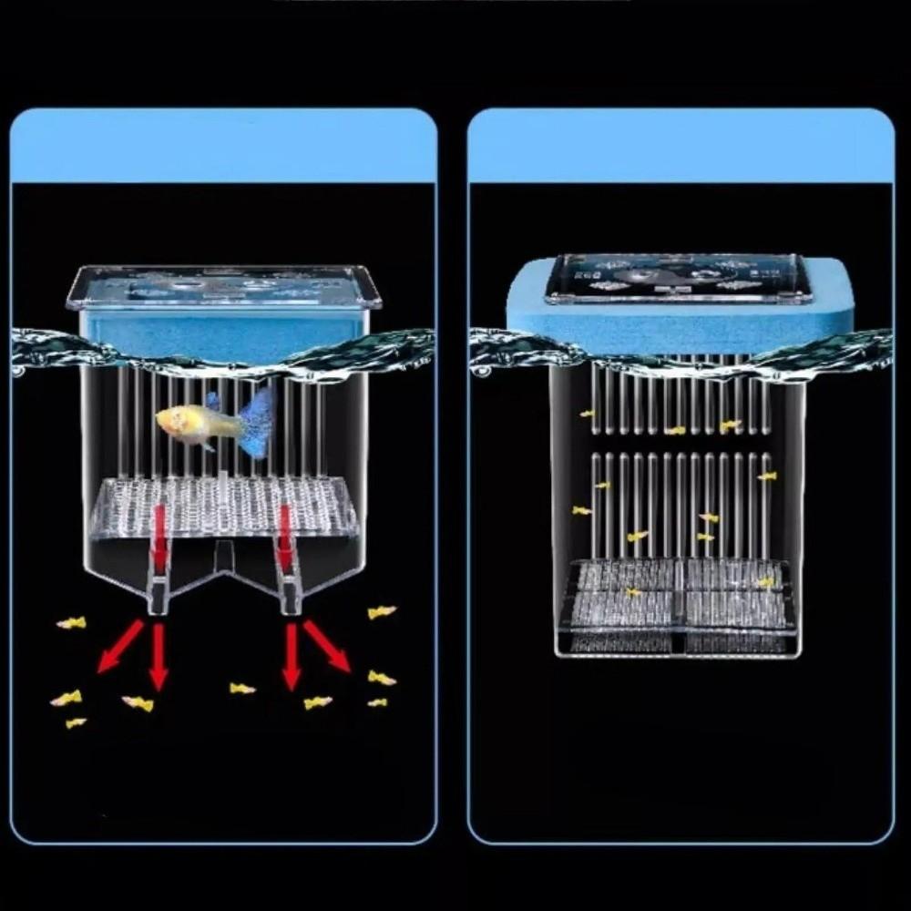 Detachable Guppy Breeder Box Transparent Fish Tank Divider Floating Hatching Box  Fish Breeding