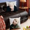 Singer LLykke Li The Afterparty Pillow Case Sofa Living Room Bedroom Headboard Backrest Square Cushion Nap Time