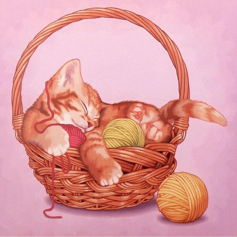 DIY 5D Malowanie Diamentami Śliczny Kot Diamentowa Sztuka Haft Zwierzęcy Ścieg Krzyżykowy Cyrkonie Pełna Okrągła Wiertarka Dekoracja Domu Prezent