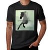 Nient'altro che ladri Maglietta felpa Camicetta abbigliamento hippie t-shirt grafiche uomo anime