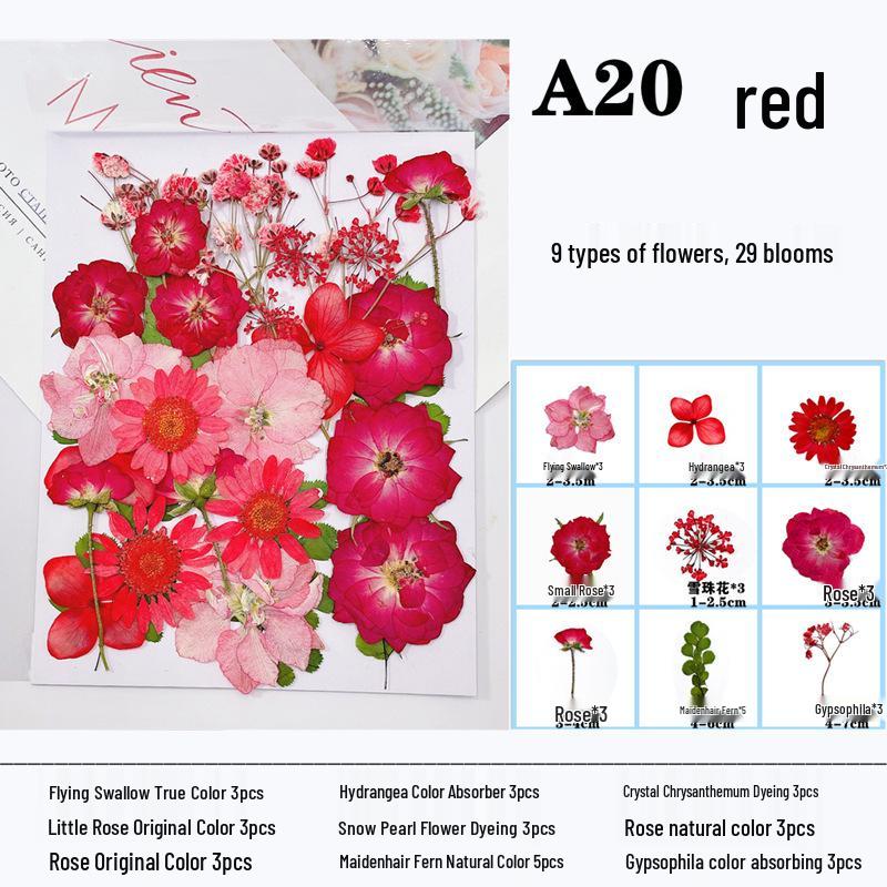 Handmade Resin Pressed Flower Bookmark DIY Kit: Transparent Specimen Stickers & Dried Flowers for Students