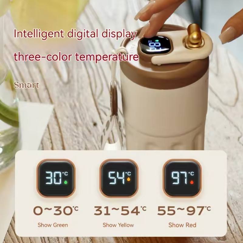 Intelligente Thermosflasche, Wasser, digitale LED-Temperatur, Kaffeetasse, Tasse, Edelstahl, Hydroflask, tragbare Thermoskannen, Geschenk für Studenten (450ml)