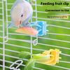 2/4 Pcs Pet Bird Food Holder Parrot Fruits Vegetables Clip Bracket Cuttlefish Bone Feeder Device Clamp Bird Cage Accessories