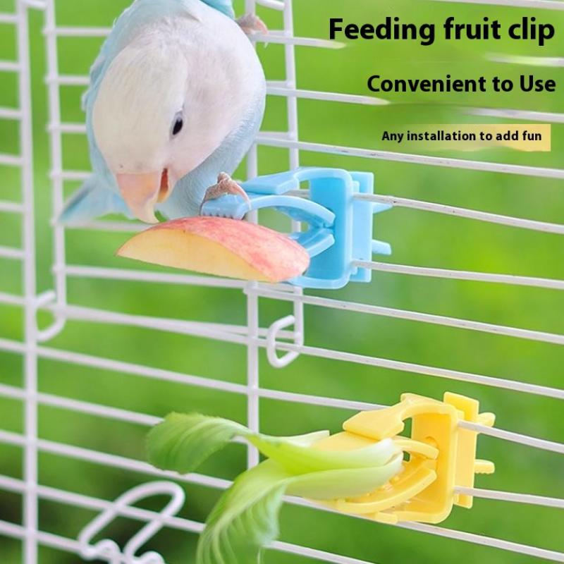 2/4Pcs Pet Bird Food Holder Parrot Fruits Vegetables Clip Bracket Cuttlefish Bone Feeder Device Clamp Bird Cage Accessories